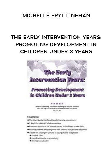 The Early Intervention Years: Promoting Development in Children Under 3 Years – Michelle Fryt Linehan