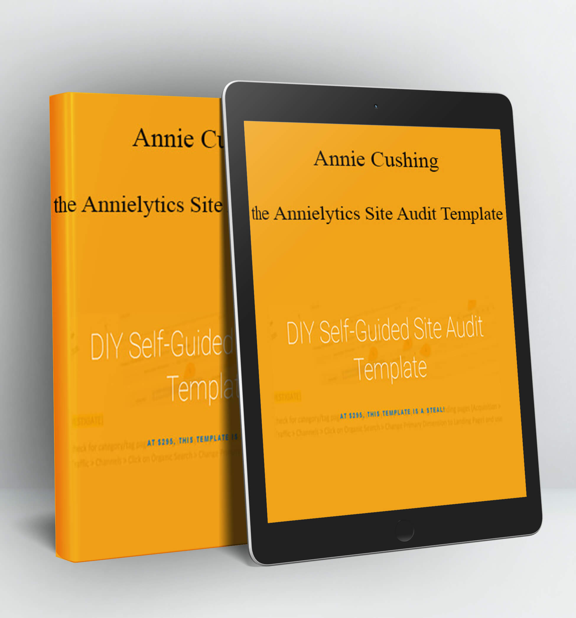 the Annielytics Site Audit Template - Annie Cushing