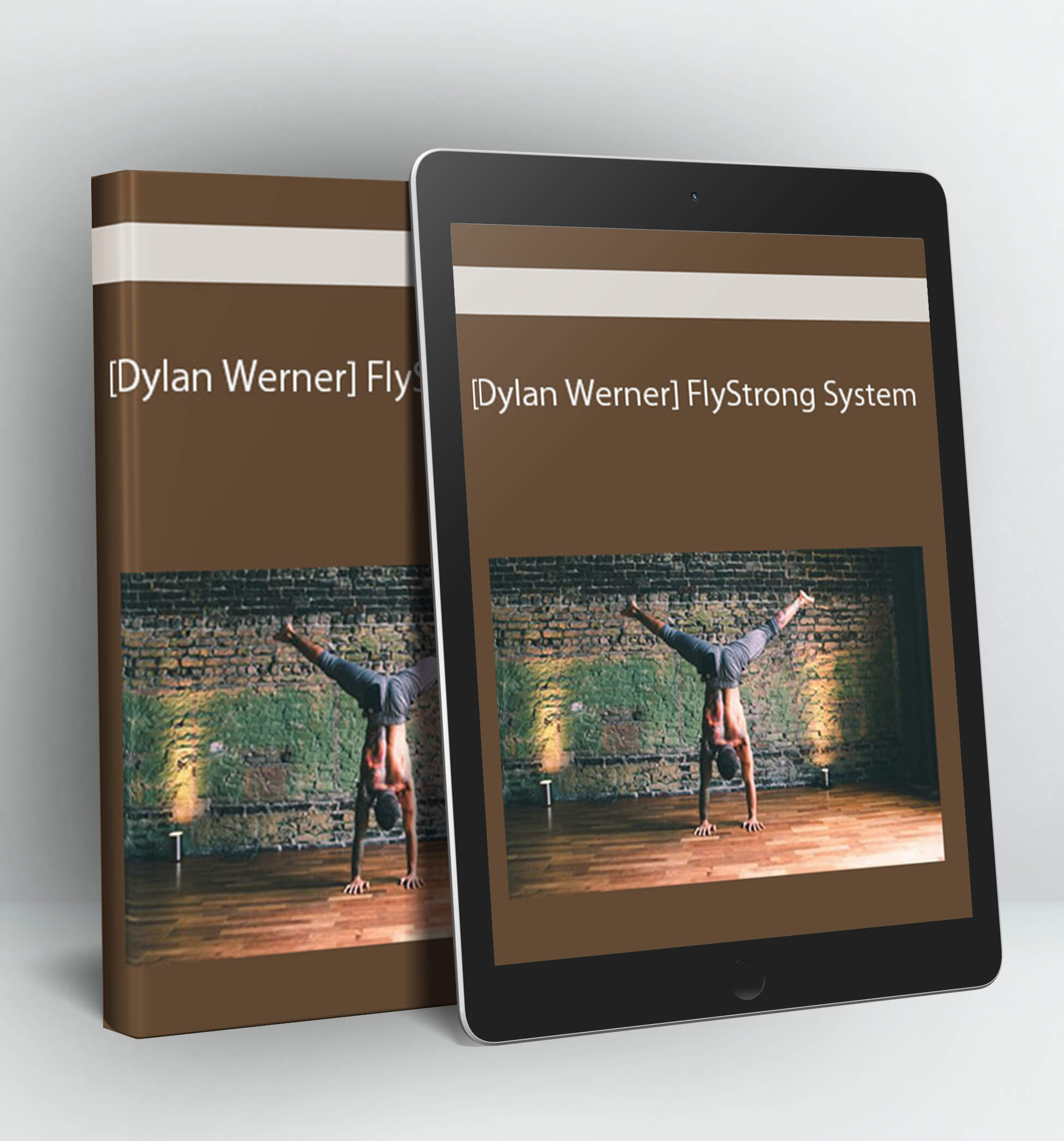 [Dylan Werner] FlyStrong System