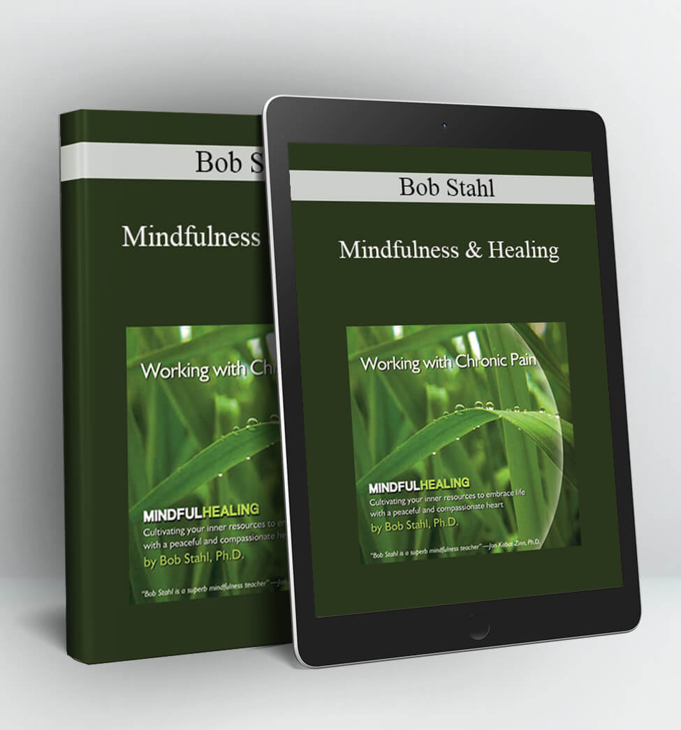 Mindfulness & Healing - Bob Stahl