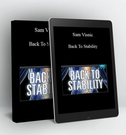 Back To Stability - Sam Visnic