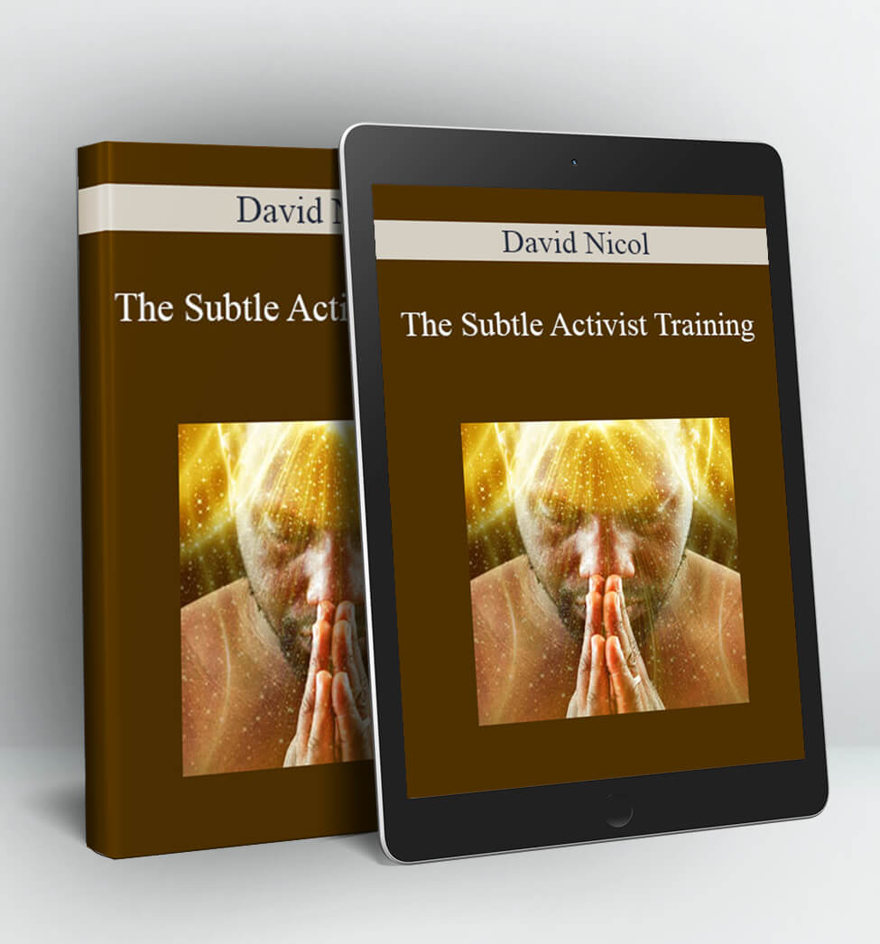 The Subtle Activist Training - David Nicol