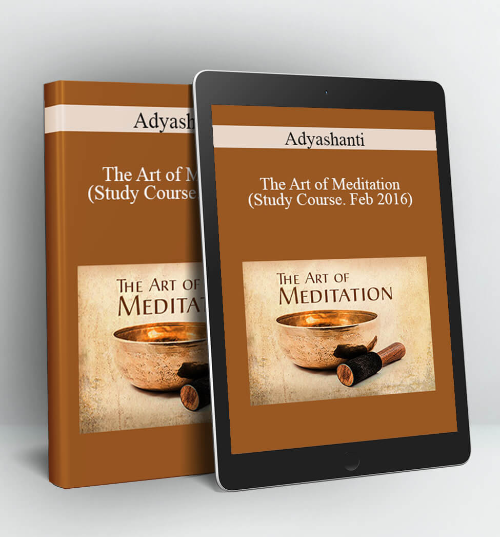 The Art of Meditation (Study Course, Feb 2016) - Adyashanti