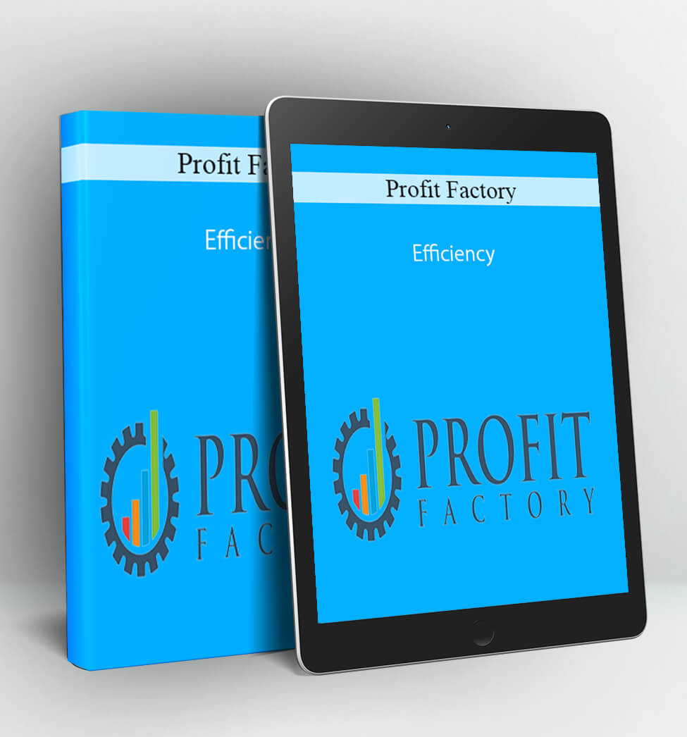 Efficiency - Profit Factory