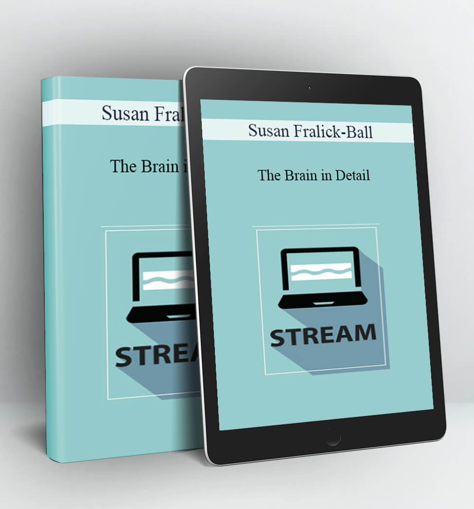 The Brain in Detail - Susan Fralick-Ball