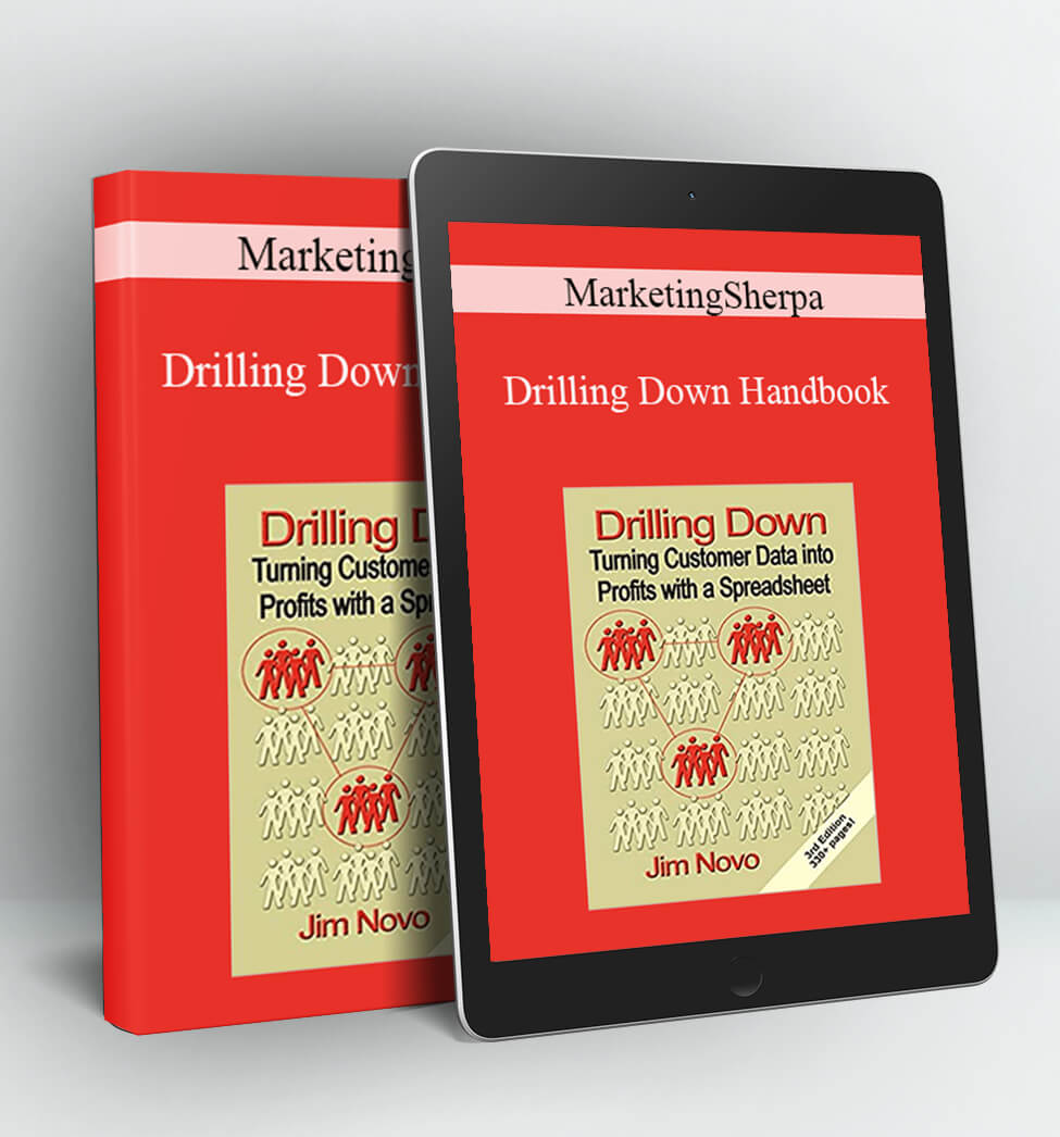 Drilling Down Handbook - MarketingSherpa