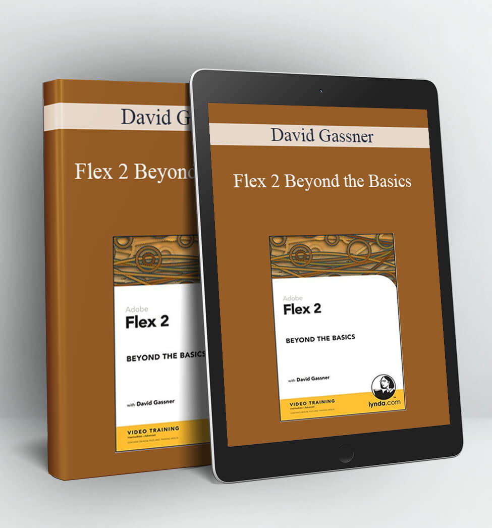 Flex 2 Beyond the Basics - David Gassner