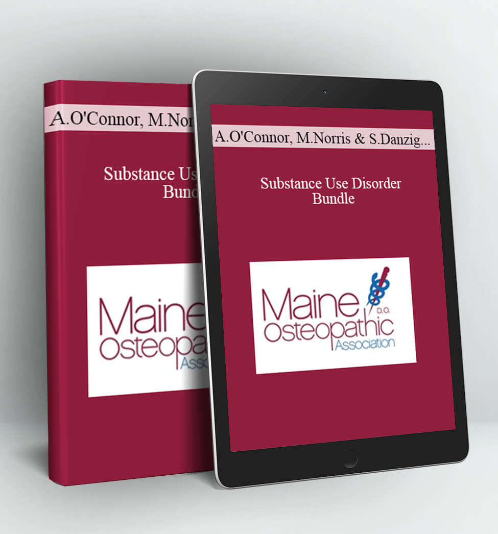 Substance Use Disorder Bundle - Alane O'Connor