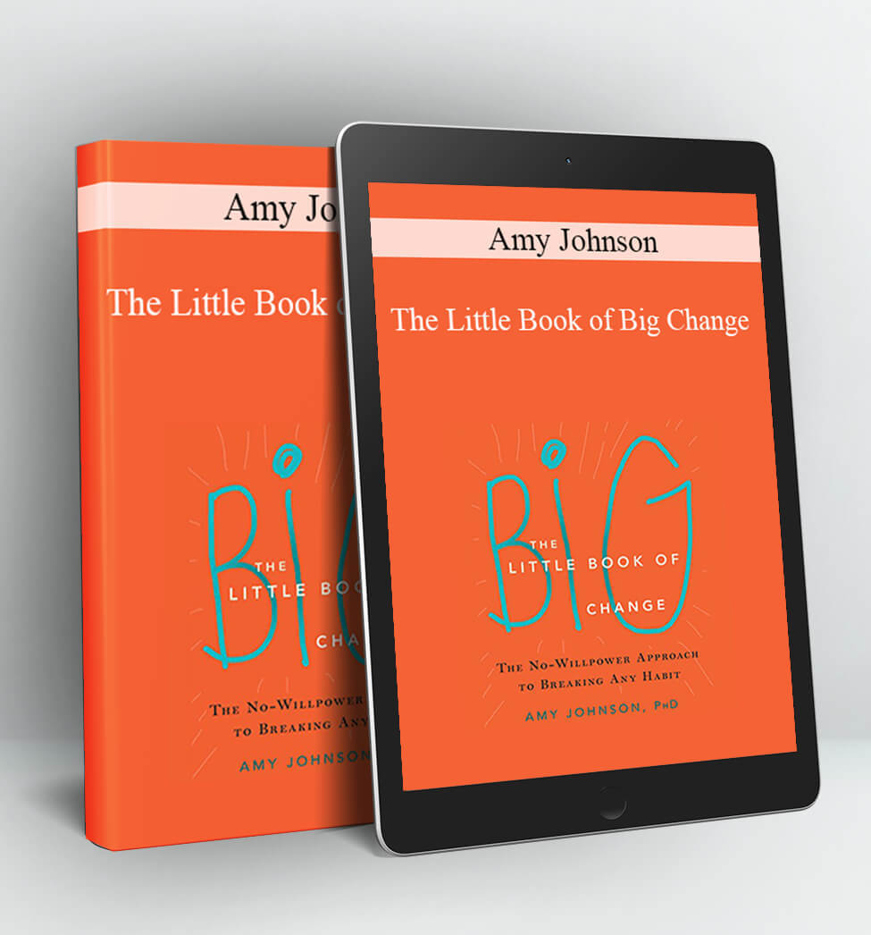 The Little Book of Big Change - Amy Johnson