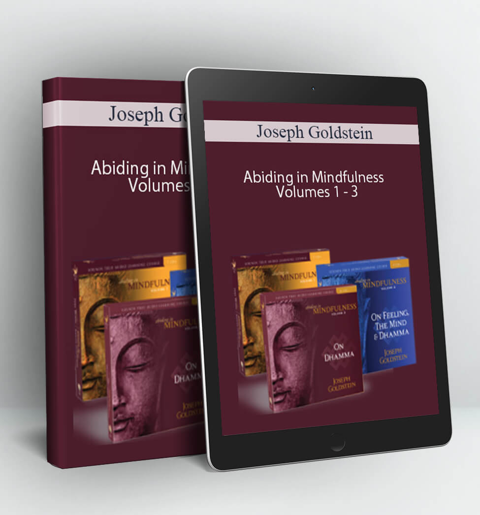 Abiding in Mindfulness Volumes 1 - 3 - Joseph Goldstein