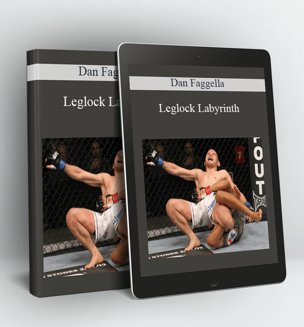 Leglock Labyrinth - Dan Faggella