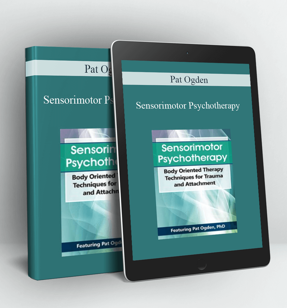 Sensorimotor Psychotherapy: Body Oriented Therapy Techniques for Trauma and Attachment - Pat Ogden